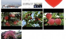 新闻爆料窗口是什么,如何成为舆论监督的利器